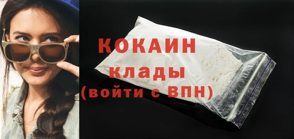 прущие грибы Бронницы