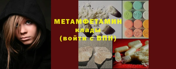 PSILOCYBIN Бородино
