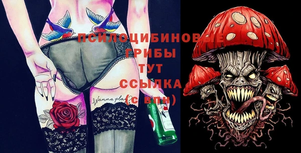 PSILOCYBIN Бородино
