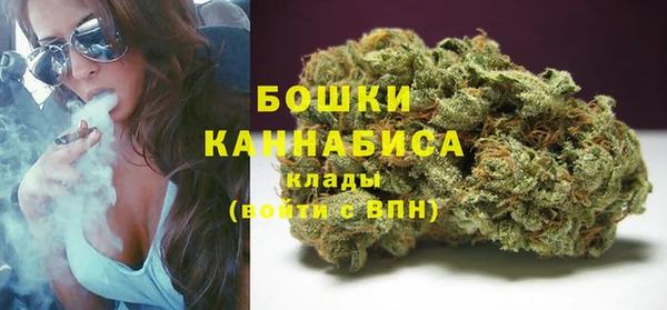 PSILOCYBIN Бородино