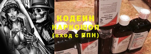прущие грибы Бронницы