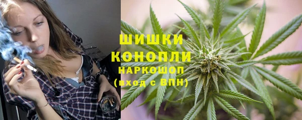 PSILOCYBIN Бородино